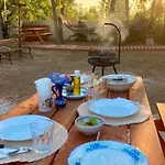 Chill Garden Experience