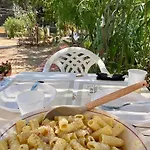 Chill Garden Experience 贝瓦尼亚圣彼得
