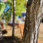 Bed & Breakfast Chill Garden Experience