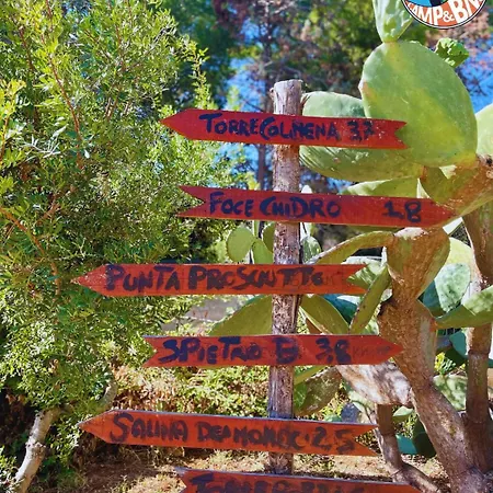 Chill Garden Experience Bed & Breakfast San Pietro in Bevagna