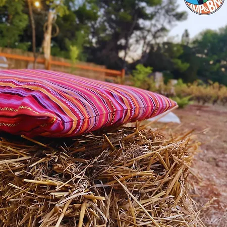 Chill Garden Experience Bed & Breakfast