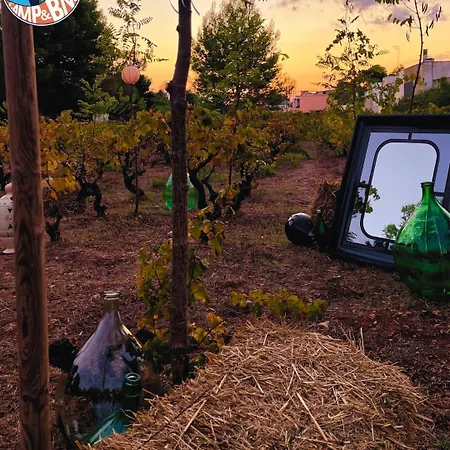 Bed & Breakfast Chill Garden Experience *