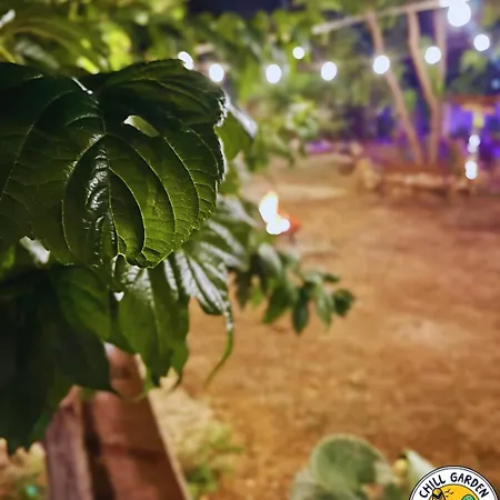 Bed & Breakfast Chill Garden Experience *