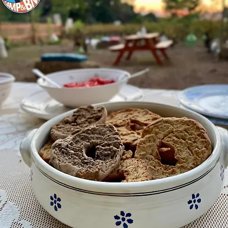 Chill Garden Experience Bed & Breakfast