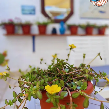 Bed & Breakfast Chill Garden Experience San Pietro in Bevagna