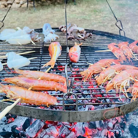 Chill Garden Experience Bed & Breakfast San Pietro in Bevagna
