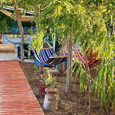 Panzió Chill Garden Experience