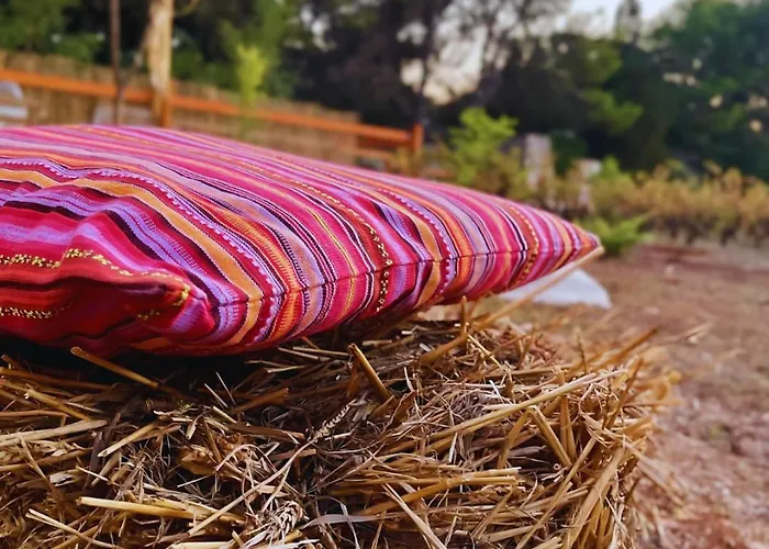 Chill Garden Experience Отель типа 
