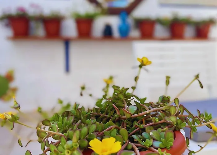 Bed and breakfast Chill Garden Experience San Pietro in Bevagna